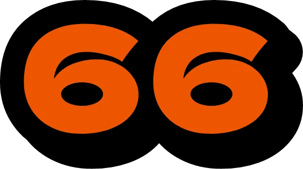 66
